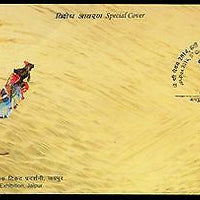 India 2014 Camel Ship of Desert Monkey JP-PEX Exhibition Special Cover # 18246