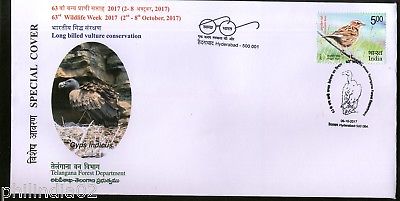 India 2017 Wildlife Week Long Billed Vulture Conservation Bird Special Cover # 6743