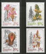 Transkei 1991 Parasitic Plants Flower Trees Flora Sc 247-50 MH # 4297