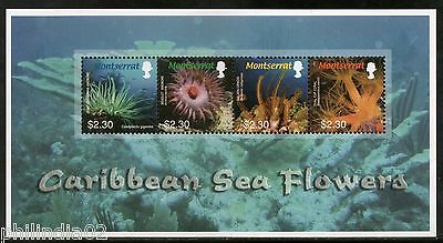 Montserrat 2008 Caribbean Sea Flowers Marine life M/s MNH # 7874