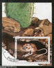 Somalia 2001 Rat Rodent Wild Life Animals Fauna M/s Cancelled # 3224