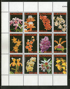 Suriname 2007 Flowers Tree Plant Flora Sc 1351 Setenant 12v MNH # 7923