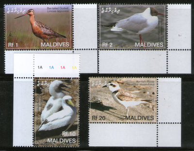 Maldives 2007 Birds Godwit Gull Booby Plover Wildlife Sc 2900-3 MNH # 2005