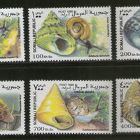 Somalia 1999 Sea Shells & Snail Marine Life Animal 6v MNH # 2767