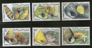 Somalia 1999 Sea Shells & Snail Marine Life Animal 6v MNH # 2767