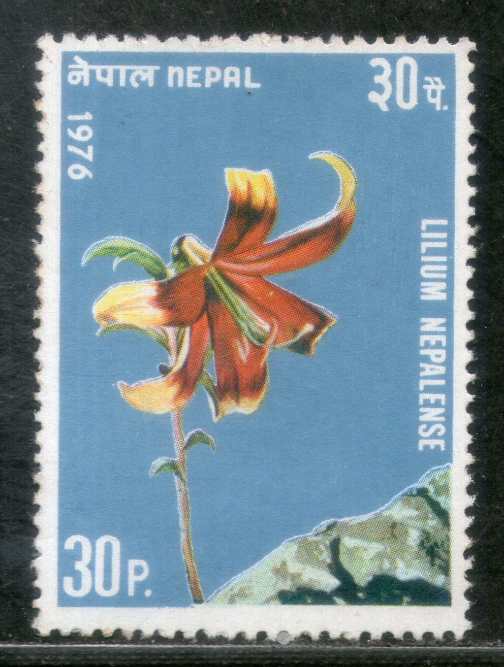 Nepal 1976 Nepalese Lily Flowers Plant Flora Sc 321 MNH # 2878