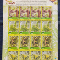 India 2003 Medicinal Plants Herbs Phila-1965b Sheetlet MNH
