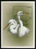 Lesotho 1999 Water Birds Egret Pelican Wildlife Sc 1185 M/s MNH # 5174