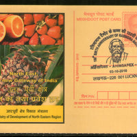 India 2010 Rabindranath Tagore Special Cancellation on Meghdoot Post Card # 5209