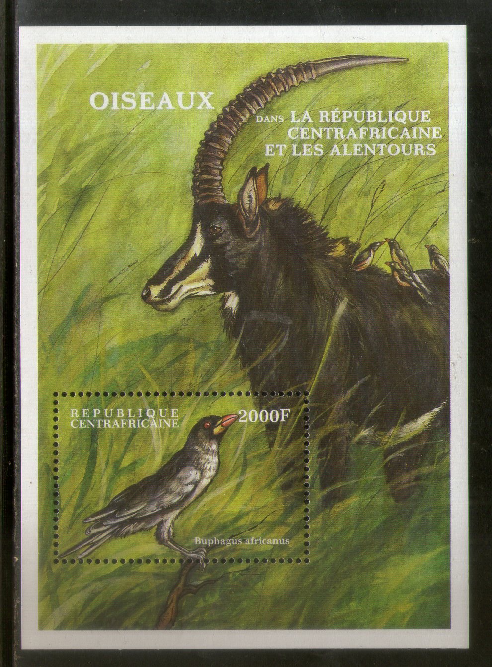 Central African Republic 2000 Yellow-billed Oxpecker Birds Wildlife Animals Sc 1324 M/s MNH # 5316