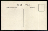 Great Britain The Umpires Cricket View / Picture Post Card # 5437