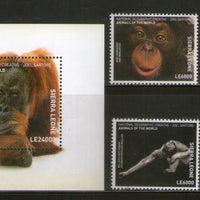 Sierra Leone 2019 Monkey Wildlife Animals 4v+M/s MNH # 5488