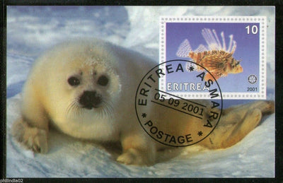 Eritrea 2001 Seal Fish Marine Life & Mammals Animals M/s Cancelled # 054 - Phil India Stamps