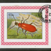 Sharjah - UAE Beetle Insect Fauna M/s Cancelled # 552