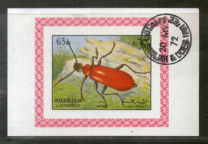 Sharjah - UAE Beetle Insect Fauna M/s Cancelled # 552