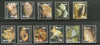 Nevis 2007 Sea Shells Marine Life Animals Sc 1497-1507 MNH # 576