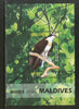 Maldives 2007 Osprey Eagle Birds of Prey Wildlife Sc 2907 M/s MNH # 5909