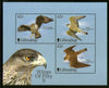 Gibraltar 2000 Raptors Birds of Prey Eagle Wildlife M/s Sc 853d MNH # 5929