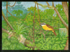 Guyana 1990 Kiskadee Birds Wildlife Animal Sc 2249 M/s MNH # 5962