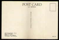 Great Britain Mike Gatting English Cricketer Cricket View / Picture Post Card Mint # 6173