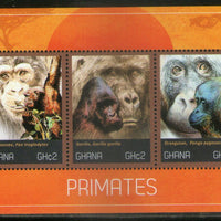 Ghana 2012 Primates Monkey Wildlife Animals Sc 2711 M/s MNH # 6321