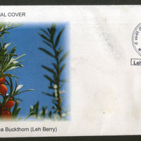 India 2018 Sea Buckhorn Leh Berry Fruits Plant Tree Special Cover # 6842