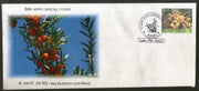 India 2018 Sea Buckhorn Leh Berry Fruits Plant Tree Special Cover # 6842
