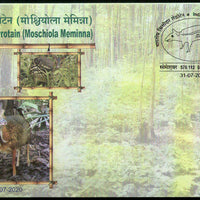 India 2020 Indian Spotted Chevrotain Deer Wildlife Animals Special Cover # 7110