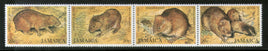 Jamaica 1981 Wildlife Indian Coney Rat Animal Sc 499 4v MNH # 7448