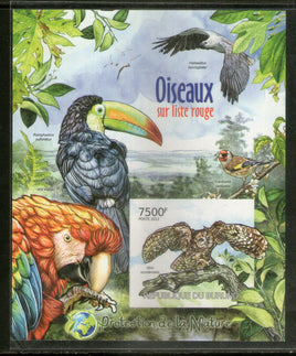 Burundi 2012 Owls Toucan Parrot Birds Wildlife Sc 1143 Imperf M/s MNH # 7694