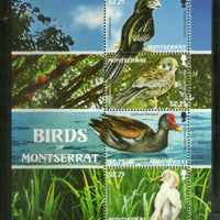 Montserrat 2009 Birds Eagle Duck Wildlife Animals Sc 1216 M/s MNH # 8110