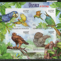 Burundi 2012 Owl Eagle Parrots Birds Wildlife Sc 1123 Imperf M/s MNH # 8116