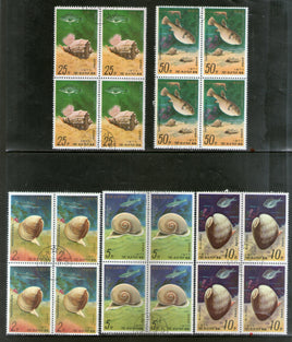 Korea 1977 Sea Shell Fish Marine Life BLK/4 Sc 1618-22 Cancelled # 8202b