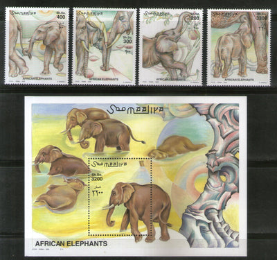 Somalia 2000 African Elephant Wildlife Animals Fauna M/s + 4v MNH # 8281
