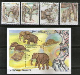 Somalia 2000 African Elephant Wildlife Animals Fauna M/s + 4v MNH # 8281