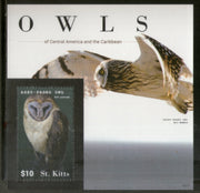 St. Kitts 2015 Ashy Faced Owls Birds of Prey Wildlife Fauna Sc 926 M/s MNH # 8413