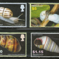Montserrat 2005 Mollusca Sea Shells Marine Life Animals Sc 1124-27 MNH # 861