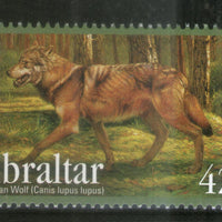 Gibraltar 2012 Wolf Wildlife Endangered Animal Sc 1355 MNH # 911