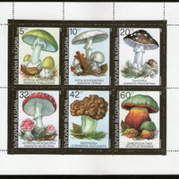 Bulgaria 1991 Mushroom Fungi Plant Tree Flora Sc 3602a Sheetlet MNH # 9198