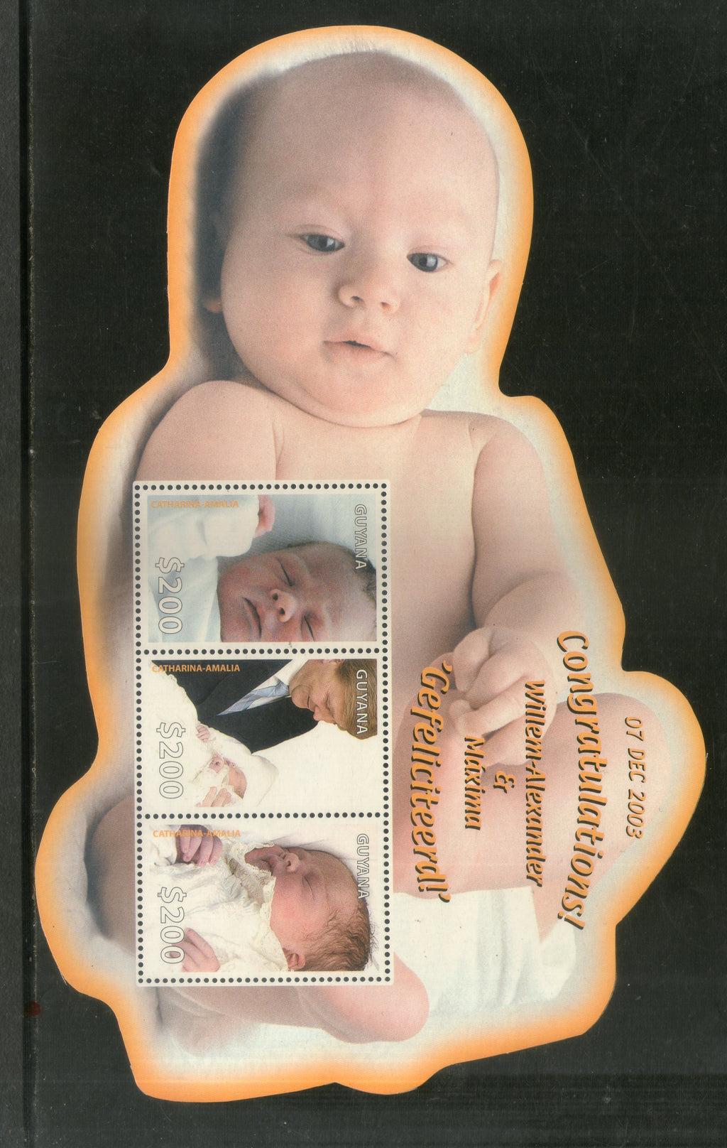 Guyana 2004 Birth of Royal Baby Odd Shaped M/s Sc 3821 MNH # 9279