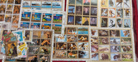 UAE 2000 Diff. Cancelled Stamps on Painting Birds Animals Space Scout Butterfly Locomotive Transport