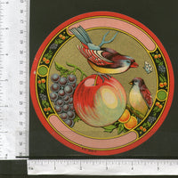 India Bird Fruits Vintage Trade Textile Label Multi-colour # 556-25 - Phil India Stamps