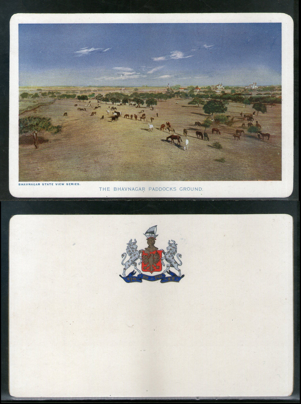 India Bhavnagar State The Paddocks Ground Horses Animal Vintage View Picture Post Card # 13