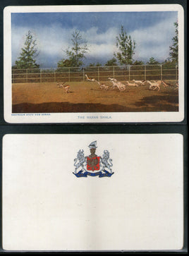 India Bhavnagar State The Haran Shala Animal Wildlife Sanctuary View Picture Post Card # 6