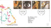 Great Britain 2000 Sound & Vision Art Culture FDC