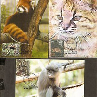 India 2009 Panda Monkey Wild Life Animal Fauna Max-card # 8180