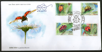 India 2017 Ladybird Beetle Insect Animals Wildlife Fauna 4v Set FDC - Phil India Stamps