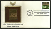 USA 1998 Painting by Frederic Edwin Church Art Gold Replicas Cover Sc 3236n # 220 - Phil India Stamps