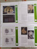 WWF Blank Album pages 20 different themes Issues for Set & FDCs with Hawid Mounts