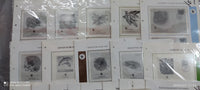 WWF Blank Album pages 30 different themes Issues for FDCs with Hawid Mounts